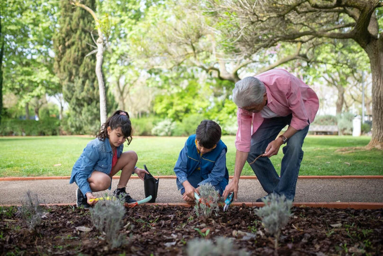 Jardinería