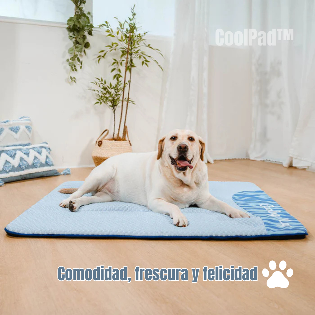 CoolPad: Colchón Refrescante para Perros
